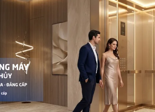 Tư vấn ốp cabin thang máy theo phong thủy biệt thự, nhà phố